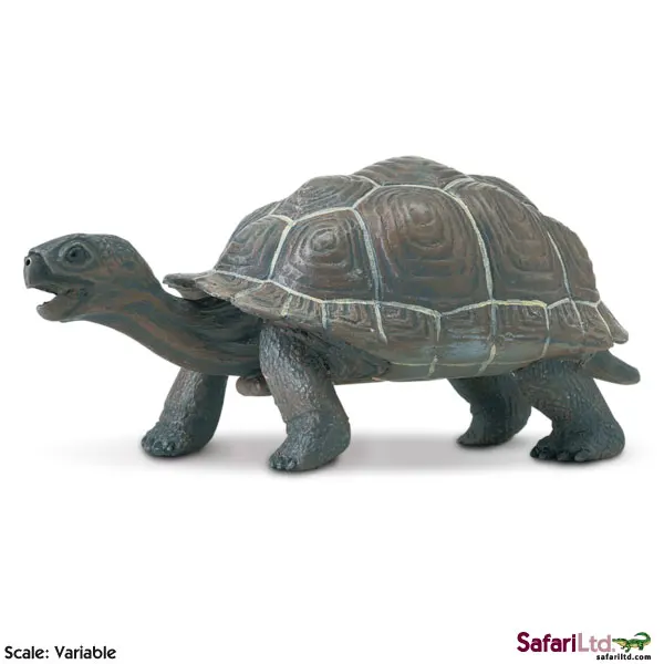 Brand New Safari Animals Model Toys Galapagos Tortoise 12.5cm PVC Action Figure Model Toy For
