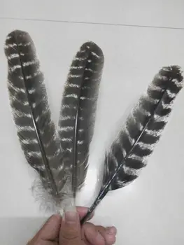 

50 pc natural quality Pheasant feather, 10-12" /25-30cm long, diy jewelry decorative accessories