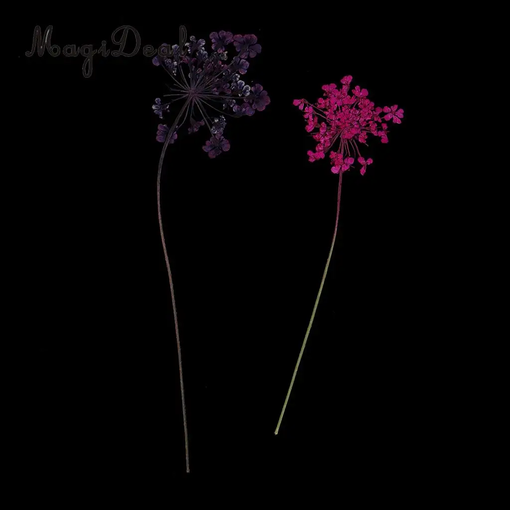 10pcs Mixed Size Real Pressed Dried Lace Flowers Embellishments DIY Card Making Jewelry Resin Crafts Scrapbooking Art Craft
