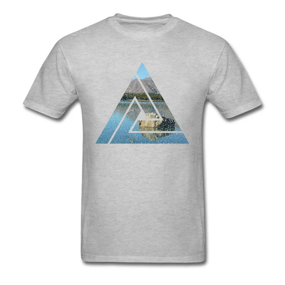 Soar_grey