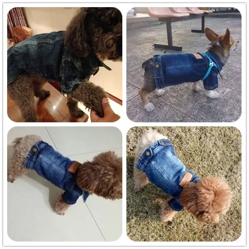 Джинсовая куртка для собак и кошек, пальто, лаконичная одежда для щенков, костюмы для чихуахуа для кошек, тонкая джинсовая одежда для животных, одежда для котят, S-2XL