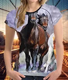 crazy horse