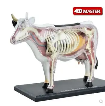 4D Master cow anatomy model animal organ bone and internal organs group disassembly model teaching 4d master stem anatomy model gummi bear skeleton anime figure adults kids gifts science animal model