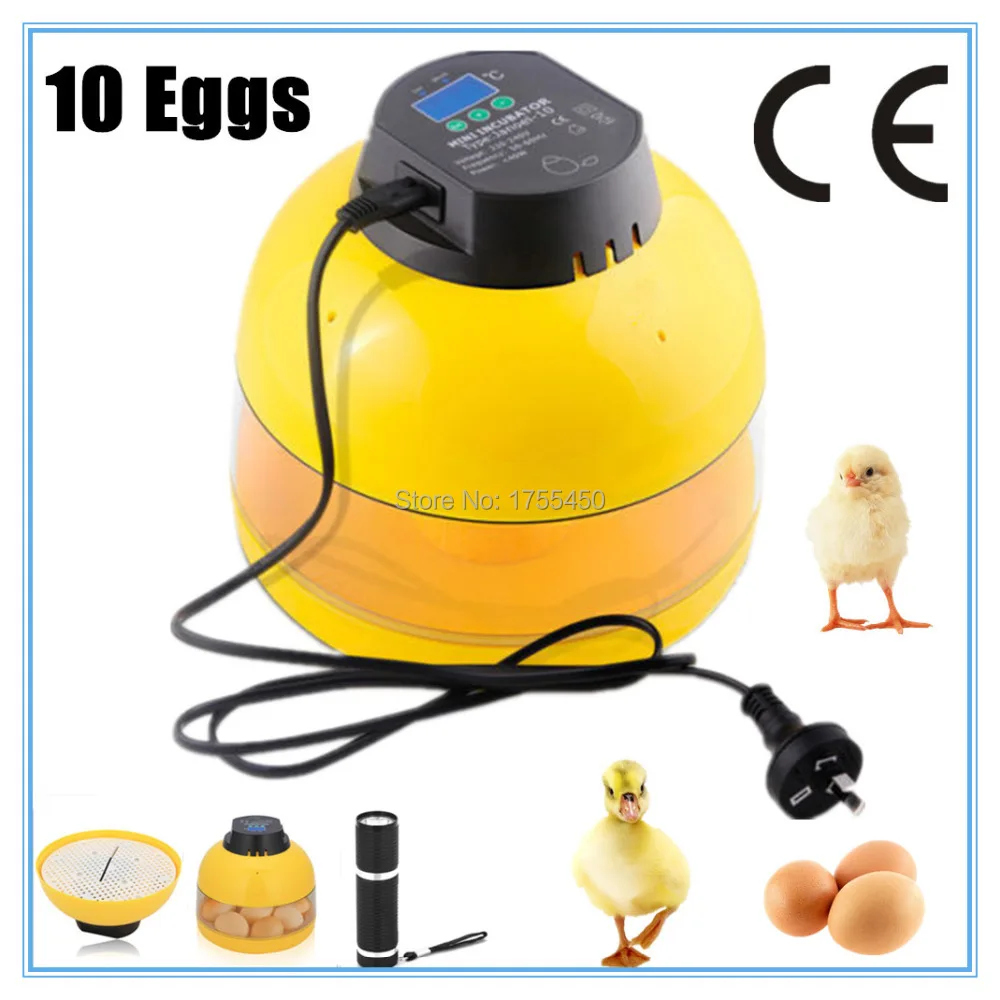 High quality 10 eggs chicken duck goose bird poultry egg ...