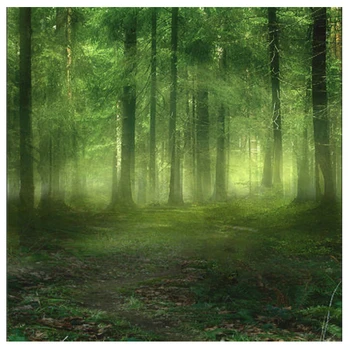 

5x7FT Vinyl Studio Backdrop Photography Prop Foggy Forest Photo Background