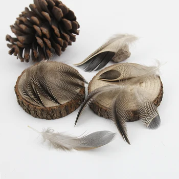 

2-4 Inch(5-10 cm)Wholesale Small Size Curved Dark Color Natural Duck Feather