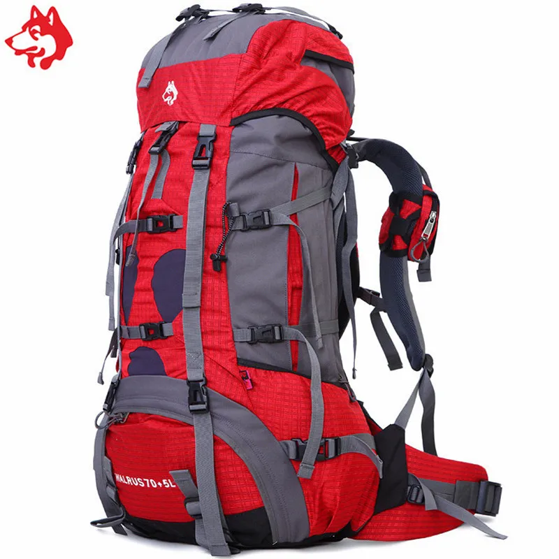 Professional 70L Hiking Backpack