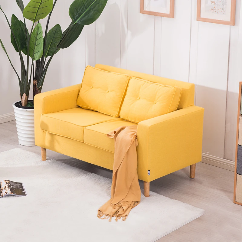 Sofa Small Apartment Two Person Double Sofa Bedroom Room