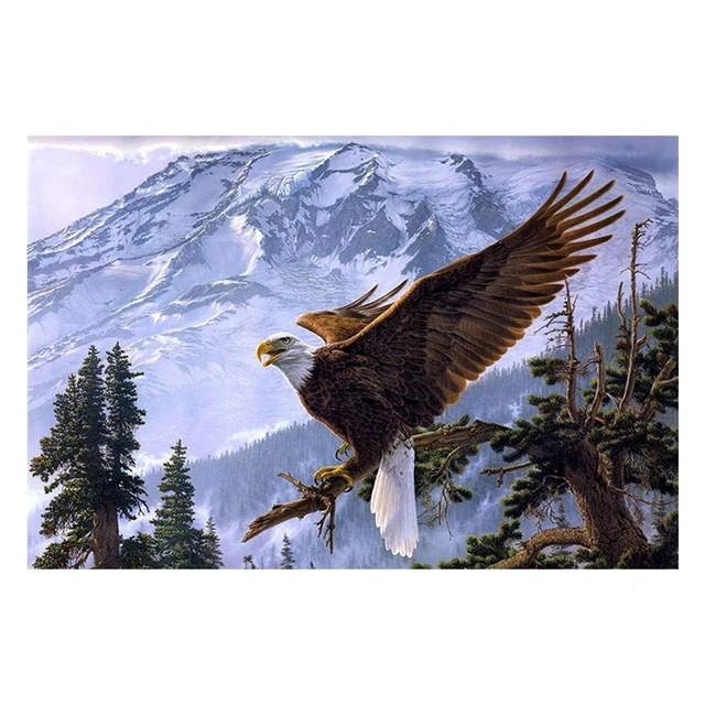 King Of The Air Eagle Painting Posterprintfun
