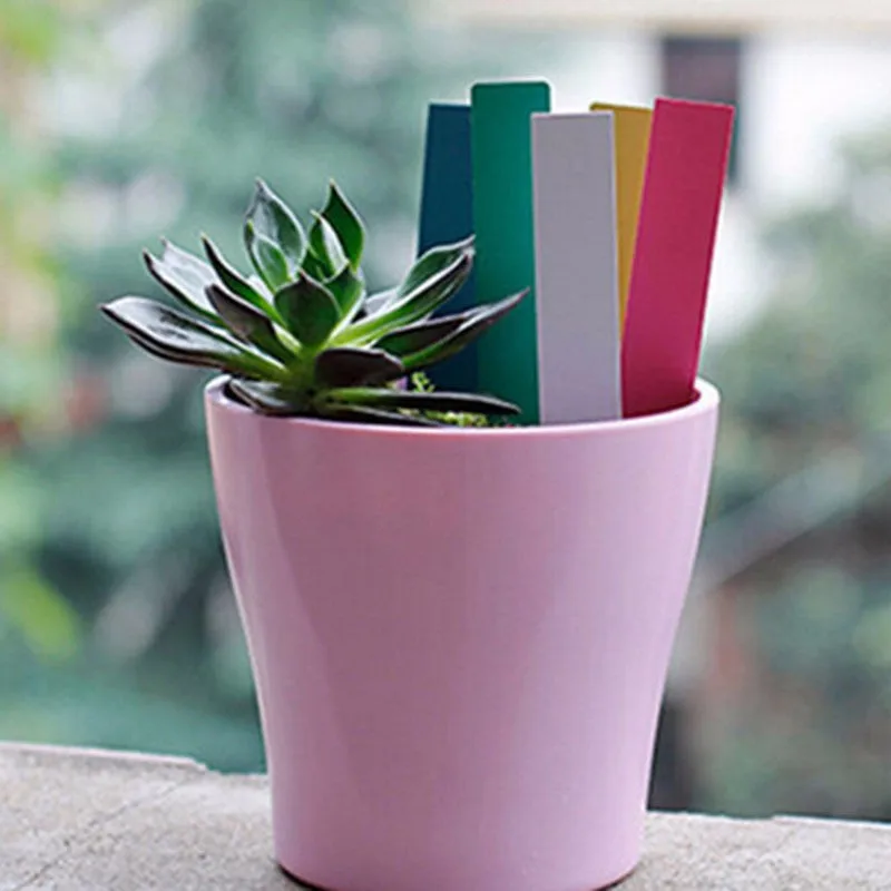 7PCS-Stainless-Steel-Russian-Tulip-Icing-Piping-Nozzles-Pastry-Decorating-Tips-Cake-Cupcake-Decorator-Rose-Kitchen (1)