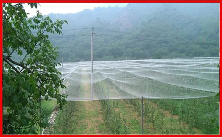 

10m White Anti-bird Net Gardening net Grape Orchard Protection Net Loach Fishpond Skynet Culture Net Customize your size