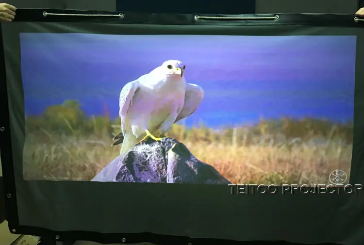 150 Inch 4:3 Folding Portable Projection Screen for Any 3D LED DLP HD Projectors