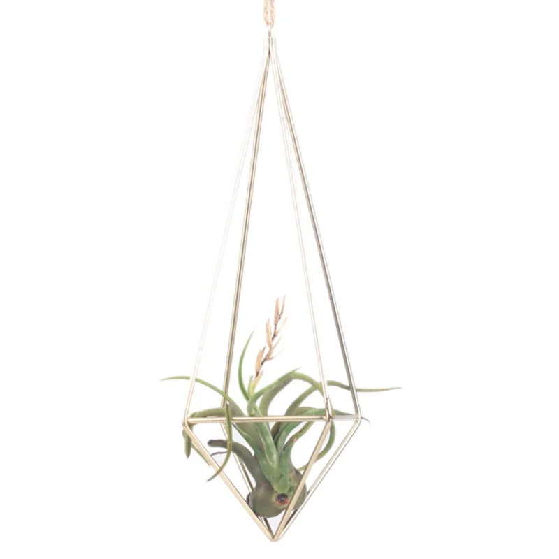 Новая Железная настенная отдельная подвесная тилландсия воздушная стойка для растений Деревенский металлический кованый Геометрический подвесной держатель для растений