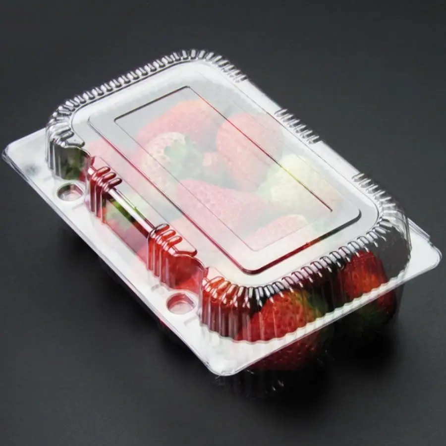 25 Pcs Disposable Plastic Hinged Loaf Container Food Fruit Storage Box Cosmetic Children Kids School Office Portable Bento Box