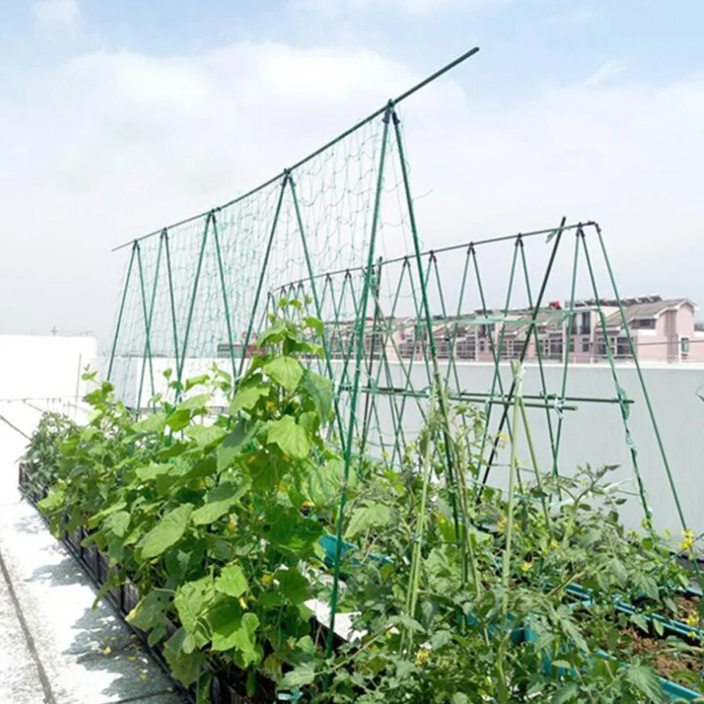 Garden Green Nylon Trellis Netting Support Climbing Bean Plant Nets Greenhouse Vines Grow Fence Agriculture tools 1 Pcs