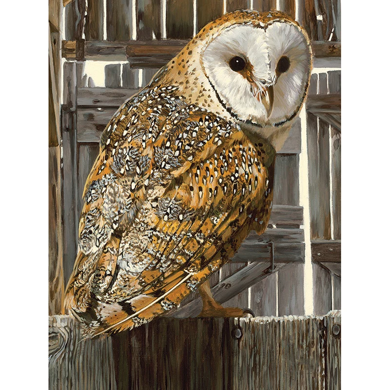 

5D DIY Diamond Cross Animal Fat Owl Embroidery Diamond Embroidery Diamond Wall Stickers Home Decoration