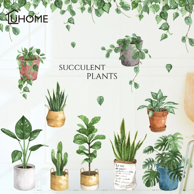 Best Price Green Leaf Bonsai Potted Flower Plants Wall Stickers Decorative Sticker Home Decor Kitchen Window Living Room Decor Decal Best Price Green Leaf Bonsai Potted Flower Plants Wall Stickers Decorative Sticker Home Decor Kitchen Window Living Room Decor Decal