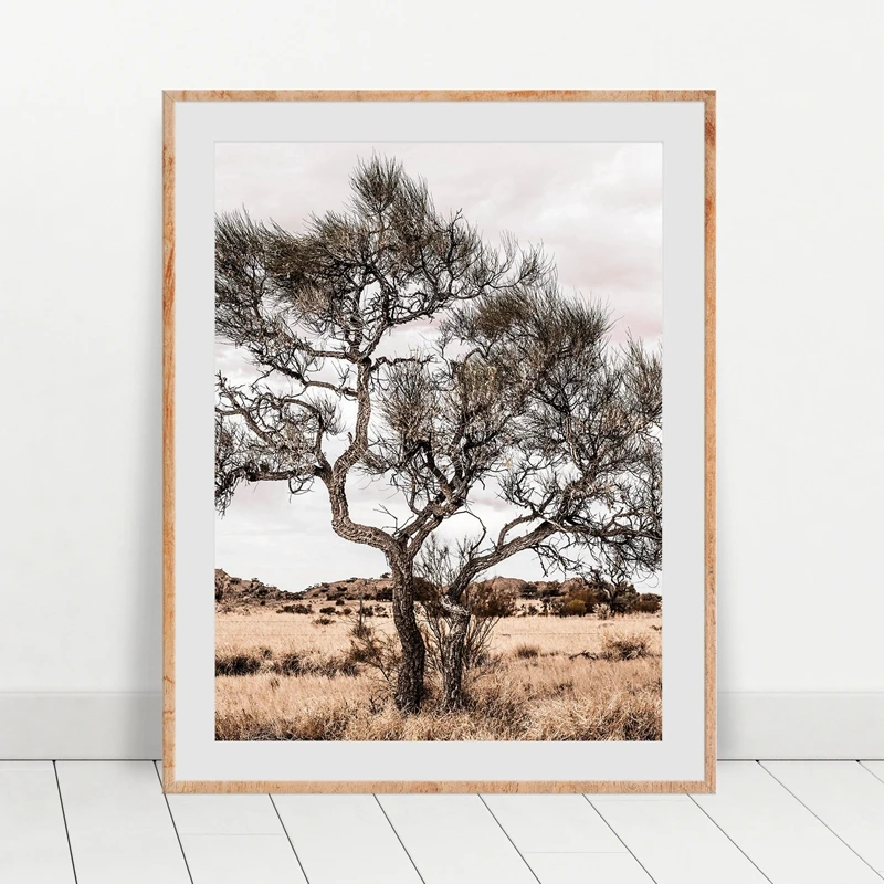 

Australian Outback Landscape Wall Art Print Desert Tree Photography Poster Canvas Painting Wall Picture Boho Home Room Decor