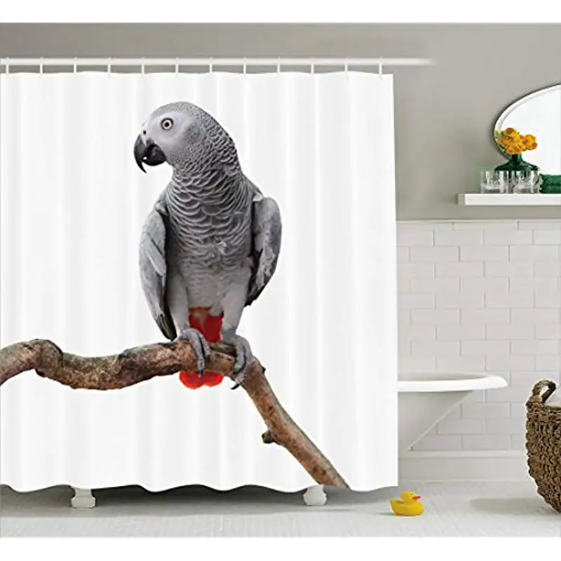 

Vixm Grey frican Parrot Bird Psittacus Erithacus Standing on a Branch Tropical Nature Wildlife Fabric Shower Curtains