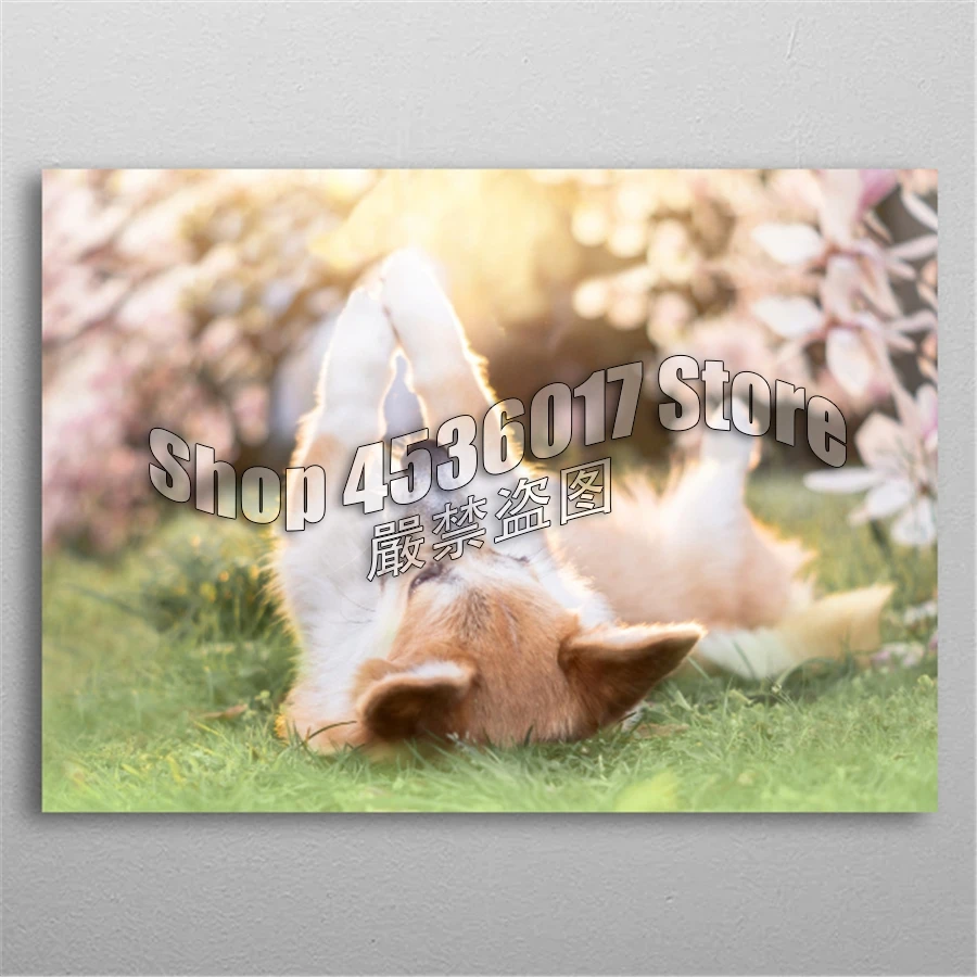 

5d Diy Diamond Painting Cross Stitch Diamond Embroidery Sweet Corgi dog Diamond Mosaic Full Gifts Home Decor Needlework Posters
