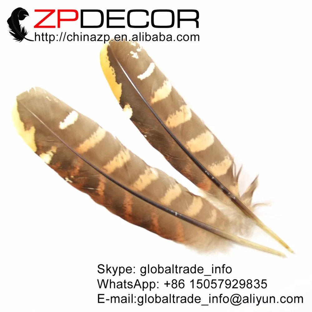 Pheasant Reeve Quills - Venery Pheasant Wing Feathers5