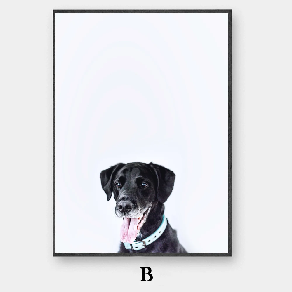 B
