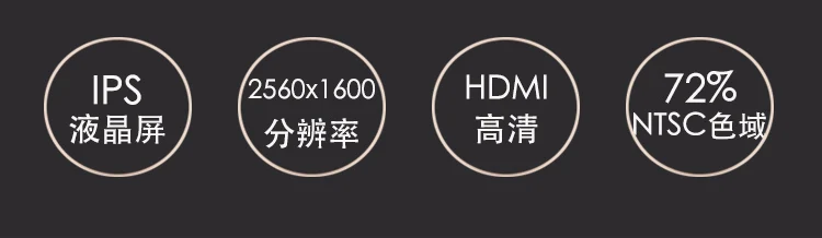 10,1 дюймов ips 2 K 2560*1600 Экран для Ps3 Ps4 Xbox НС игровой Дисплей 2 разъема HDMI USB 5 V портативный монитор Rraspberry Pi 3 WQXGA 72%