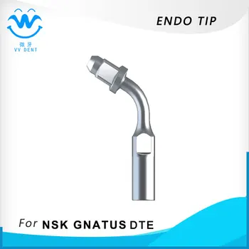 

ED1,SCALER TIPS,DENTAL TIPS FOR ENDO CLEANING,USED FOR SATELEC,DTE,GNATUS,