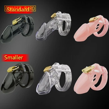 CHASTE BIRD Small/Standard Male Chastity Device Cock Cage With 5 Size Rings Brass Lock Locking Number Tags Sex Toys CB6000 A153 1