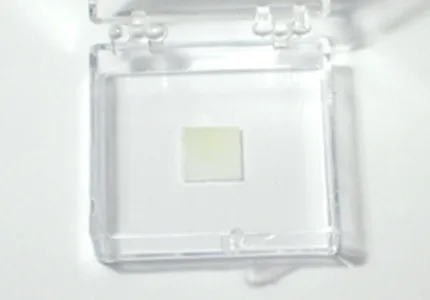 MoS2-flakes-single-polished_