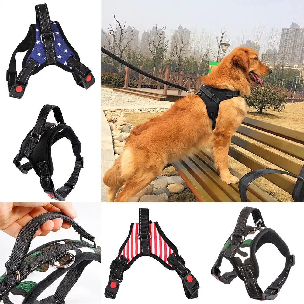 warning dog harness