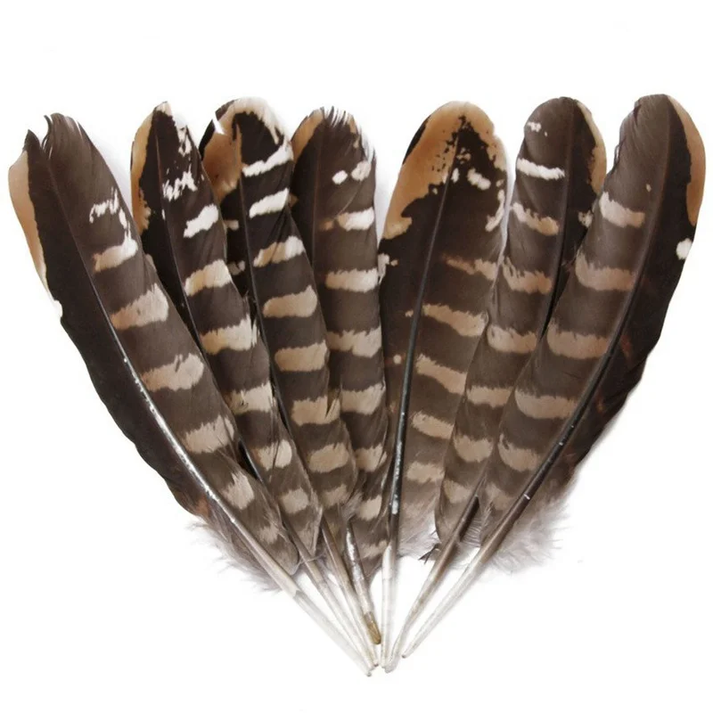

Wholesale 50 Pcs Top high quality scare natural eagle feathers 15-20CM 6-8 inch Pheasant feather Diy jewelry Wedding decoration