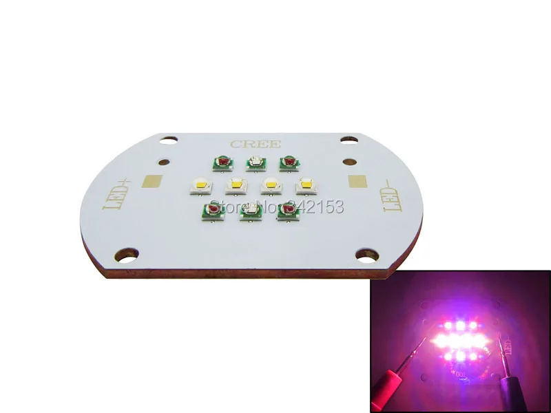 30W XPE2 (4)