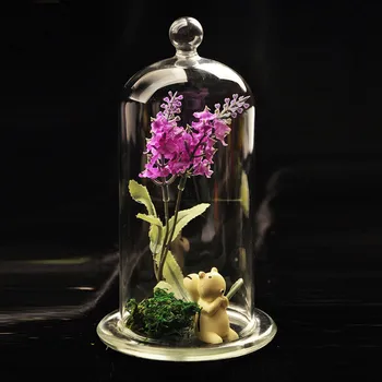 

Free Shipping 2sets/pack 9*20cm Ball Top Glass Dome Vase Home Decorative Diameter=9cm Height=20cm Wedding Favor Gift Glass Cover