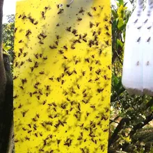 3 шт. сильные мухи ловушки жуки липкая доска ловить афид насекомые пестицид уличная ловушка муха для Aphids комаров гриб