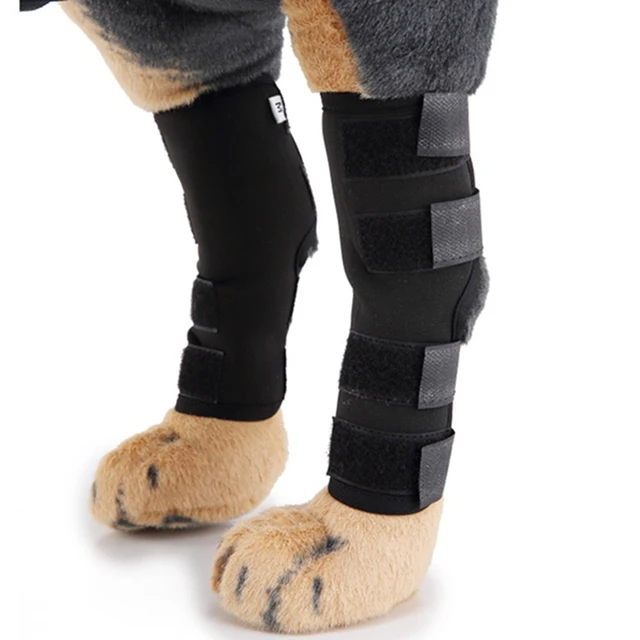 New Dog Leg Brace Pet Protector Dog Surgical Injury Fixed Knee Pads Dog