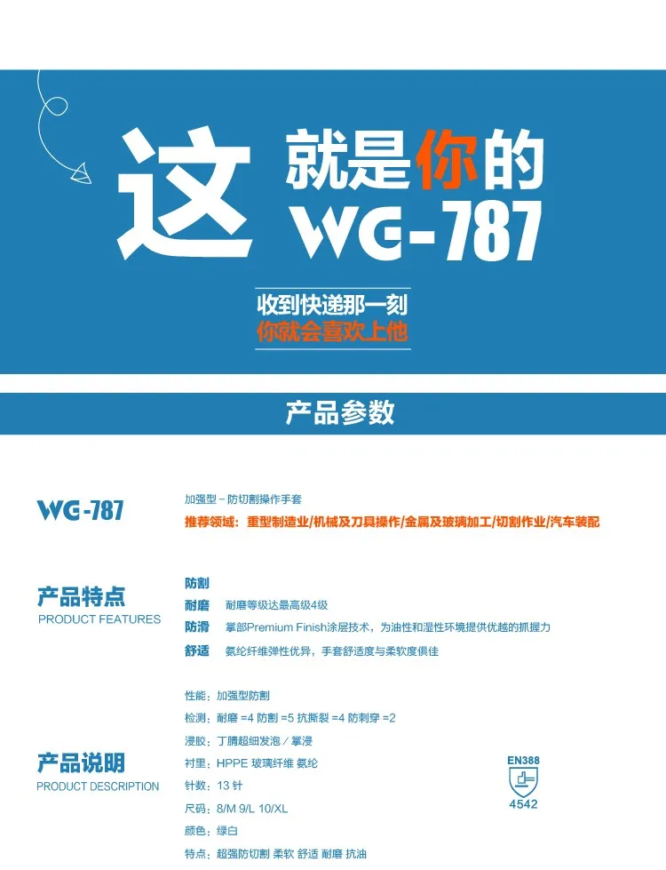 WG-787-13