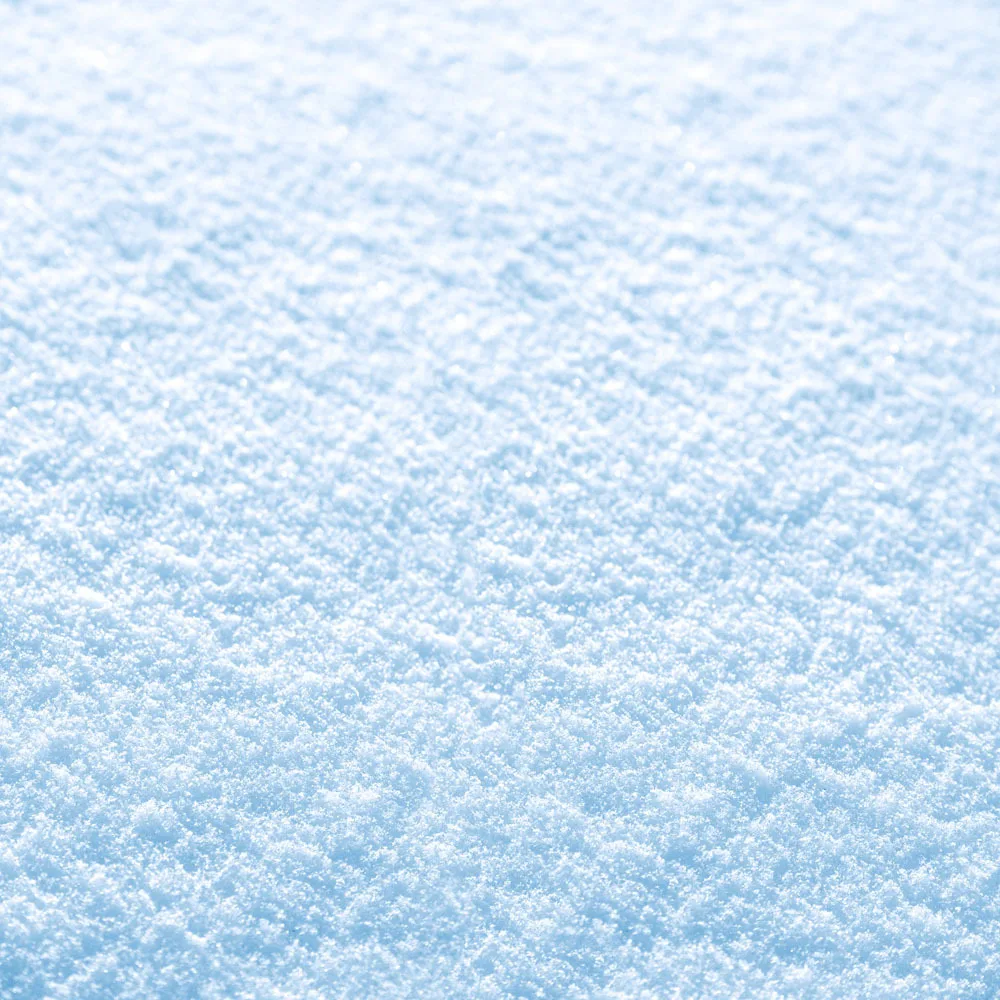 

SHANNY 10x10ft Snow Vinyl Backdrops Props for Photography Photo Studio Background TSN-23