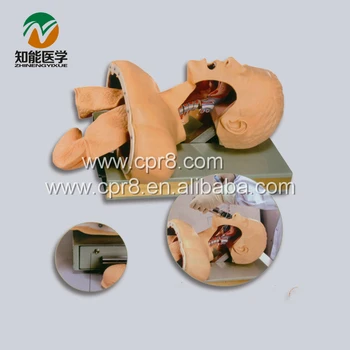 

BIX-J51 Airway Intubation Model(with Alarm Device) W075