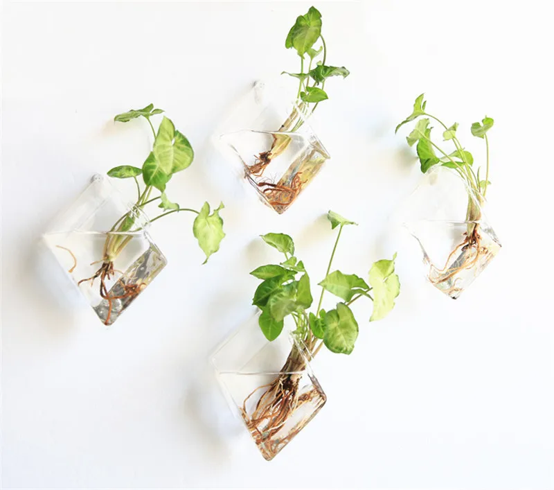 Diamond Shape Hanging Flower Pot Wall Mounted Glass Vase Wall Hanging Planter Small Plants Glass Terrarium Home Decor6