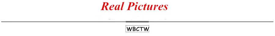 Real Picture