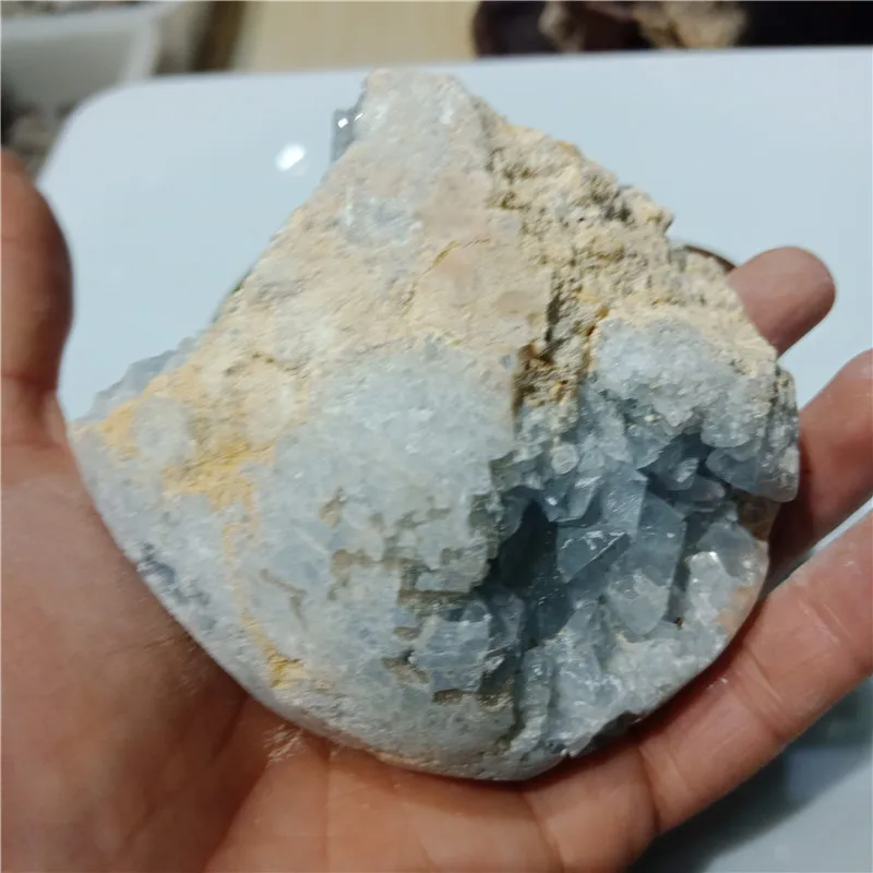 IMG20190224115304