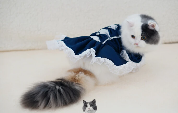 Летнее платье с маленькой кошкой, свадебные платья с рисунком собаки, кошки, кружевные вечерние платья, детское платье, одежда для щенка, 3 цвета