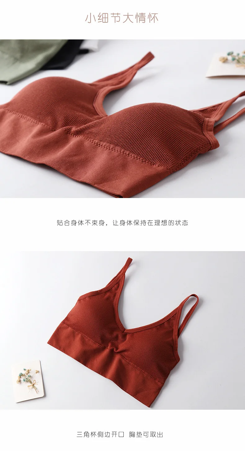 11080865091_1798860024