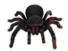 New Arrival Infrared RC Tarantula Realistic Spider with Lighting Remote Control Simulation Scary Toys Electronic Pets Gift 2