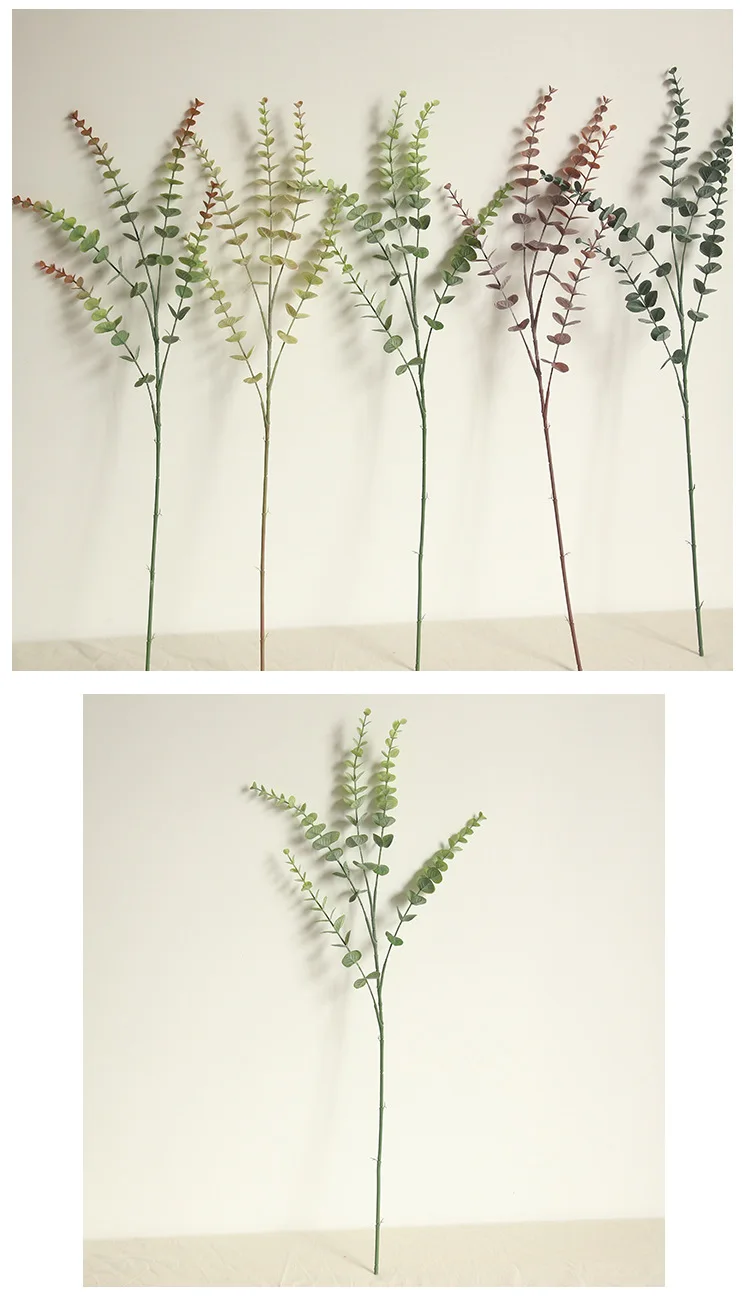 10865005459_1245478559