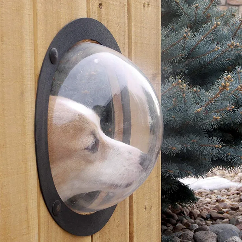 Dog Fence Window (2)
