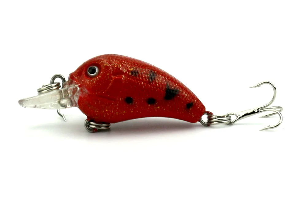 cb025 bait (2)