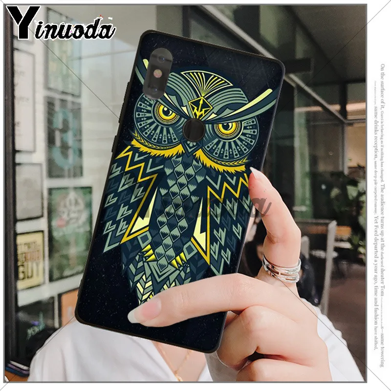 Animal Night Owl 