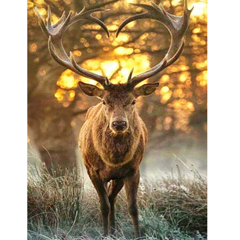 Олень любви. Влюбленный олень. Влюблённый олень. Фото влюбленных оленя.